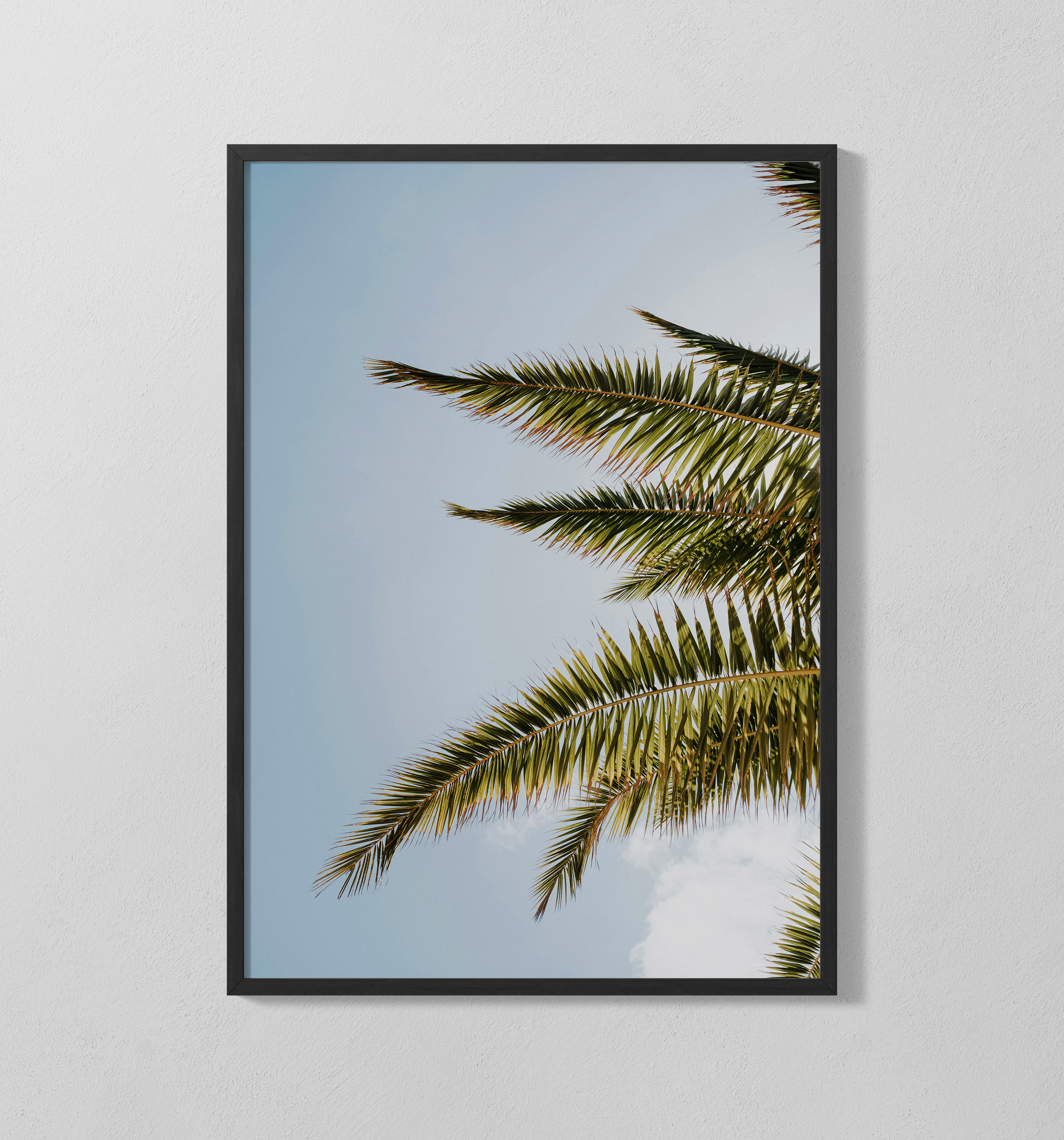 Palmen | Poster